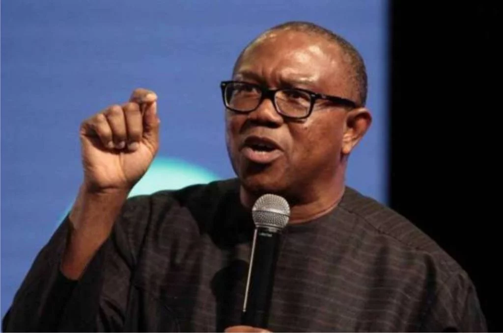 FUEL SUBSIDY: How Peter Obi Will Tackle Subsidy, Say It’s a Scam…[Read @Eagle’s Sight News)