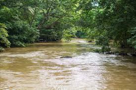 Mysterious Call:Unidentified Young Lady Jumps into Osun River|Eagle’s Sight News