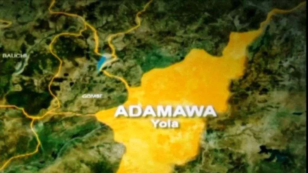 Flood:51 Lives Lost In Adamawa~Eagle’s Sight…