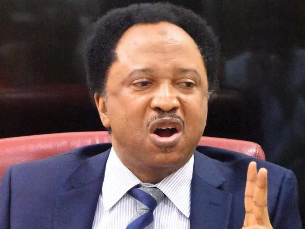 2023:Stop attacking Obasanjo for endorsing Peter Obi – Shehu Sani tells opposition