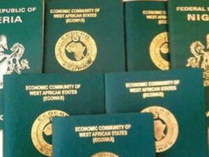 FG to begin home delivery of passport 