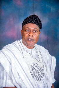 Subsidy: Ibadan North LG Chair Biro Eulogizes Makinde's Safer Project