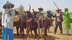 Miyetti Allah To Face Panels As Oyo Assembly Frown At Brutal Killing At Oke- Ogun By Fulani Herders