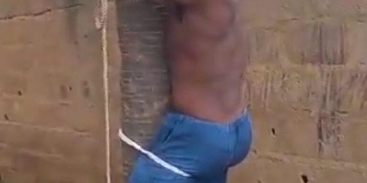 Fact-Check:Angry Youths Tie Party Chairman To A Tree, Beat Him Mercilessly For Selling