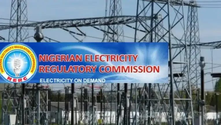 We Need ₦3.2trn To Pay Electricity Subsidy In 2024 Says…