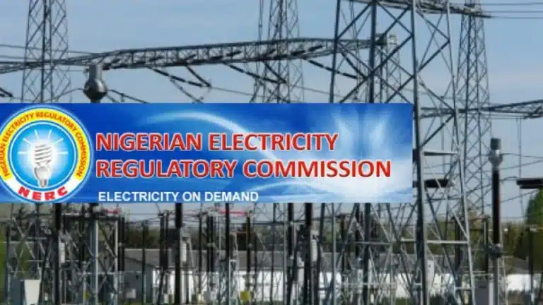 We Need ₦3.2trn To Pay Electricity Subsidy In 2024 Says