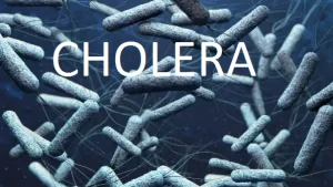 BREAKING: Lagos Records 15 Deaths, Confirms 350 Suspected Cholera Cases