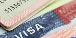 Japa: 5 countries offering work visas with proof of funds requirements