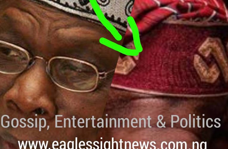 VIDEO: Obasanjo Finally Speaks Out on 3rd Term Ambition, Exposes Real Sponsors